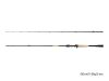 Delphin Zandera B-Cast 2,1m/5-28g/2 részes casting bot