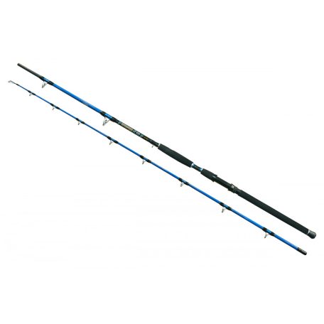 Wizard Cat Pro Power 3m/600-800g/2 részes harcsázó bot