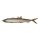 MadCat Pelagic Cat Lure 24cm Smelt