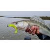 Nevis Impulse Shad 10cm 4db/cs Citromsárga