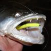 Reiva Flash Shad 10cm 4db/cs (Lemonade)