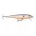 Rapala FLOATER F09 SD