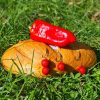 Stég Product Bionic Boilies 800g 20mm Paprika Bread