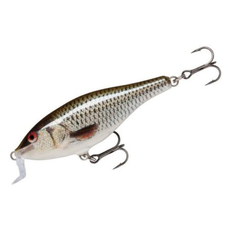 Rapala Shallow Shad Rap Live Roach 5cm 5g