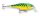 Rapala SHALLOW SHAD RAP SSR09 FT