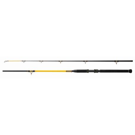 Wft Never Crack Catfish Boat 3m/250-1000g/2 részes harcsázó bot